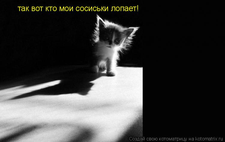 Котоматрица: так вот кто мои сосиськи лопает!