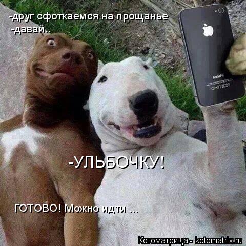 Котоматрица: -друг сфоткаемся на прощанье  -давай.. -УЛЬБОЧКУ! ГОТОВО! Можно идти ...