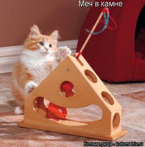 Котоматрица: Меч в камне