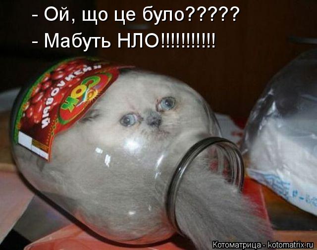 Котоматрица: - Ой, що це було????? - Мабуть НЛО!!!!!!!!!!!