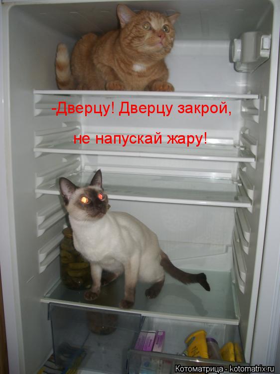 Посмеялся сам - поделись с другом!!!