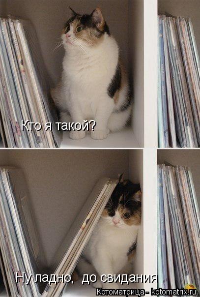 Котоматрица: Кто я такой? Ну ладно,  до свидания
