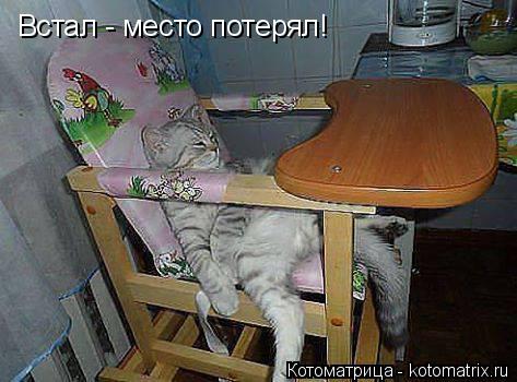 Встал - место потерял!... Котоматрица: Встал - место потерял!