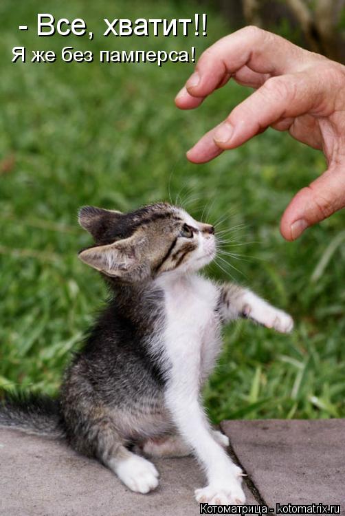 Котоматрица: - Все, хватит!! Я же без памперса!
