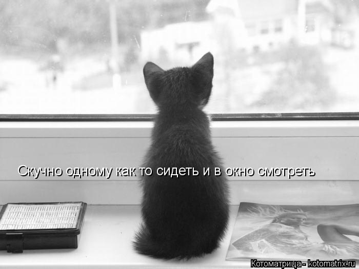 Котоматрица: Скучно одному как то сидеть и в окно смотреть