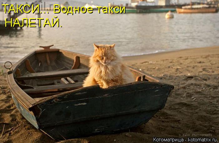 Котоматрица: ТАКСИ... Водное такси НАЛЕТАЙ.