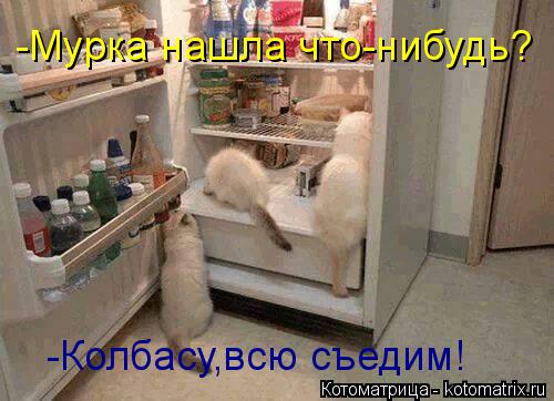 Котоматрица: -Мурка нашла что-нибудь? -Колбасу,всю съедим!