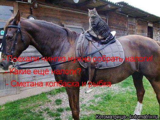 Котоматрица: - Поехали чингиз нужно собрать налоги! - Какие ещё налоги? - Сметана колбаска и рыбка
