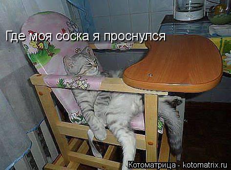 Котоматрица: Где моя соска я проснулся