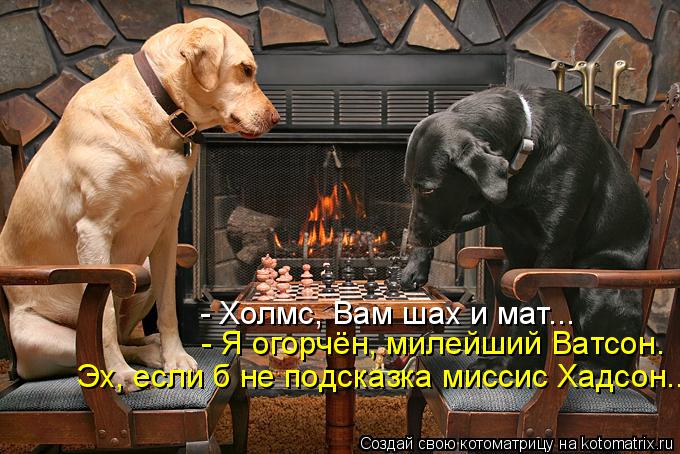- Холмс, Вам шах и мат... - Я огорчён, милейший Ватсон. Эх, если б не подсказка миссис Хадсон...... Котоматрица: - Холмс, Вам шах и мат... - Я огорчён, милейший Ватсон. Эх, если б не подсказка миссис Хадсон...