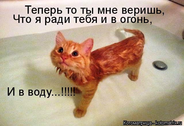 Котоматрица: И в воду...!!!!! Теперь то ты мне веришь, Что я ради тебя и в огонь,