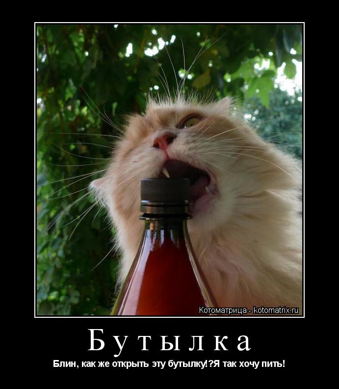 Котоматрица: Бутылка Блин, как же открыть эту бутылку!?Я так хочу пить!