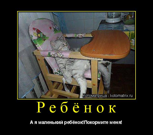 Котоматрица: Ребёнок А я маленький ребёнок!Покормите меня!