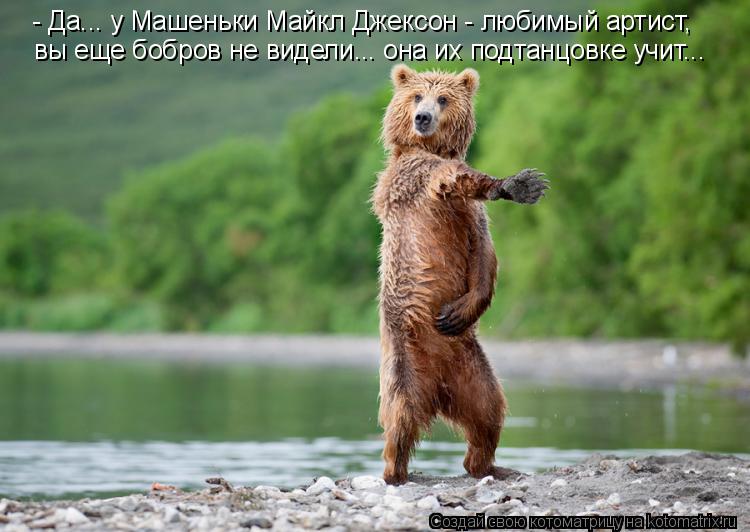 - Да... у Машеньки Майкл Джексон - любимый артист, вы еще бобров не видели... она их подтанцовке учит... Котоматрица: - Да... у Машеньки Майкл Джексон - любимый артист, вы еще бобров не видели... она их подтанцовке учит...