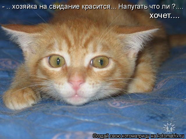 Котоматрица: - .. хозяйка на свидание красится... Напугать что ли ?.... хочет....
