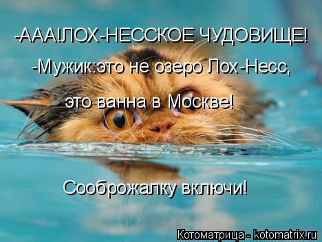 Котоматрица: Сооброжалку включи! -ААА!ЛОХ-НЕССКОЕ ЧУДОВИЩЕ! -Мужик:это не озеро Лох-Несс, это ванна в Москве!
