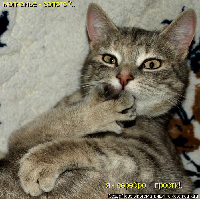 молчанье - золото?.. я - серебро... прости!..... Котоматрица: молчанье - золото?.. я - серебро... прости!..