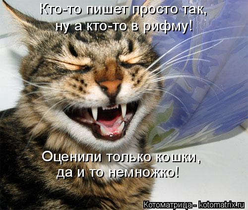 Котоматрица: ну а кто-то в рифму! Кто-то пишет просто так, Оценили только кошки, да и то немножко!