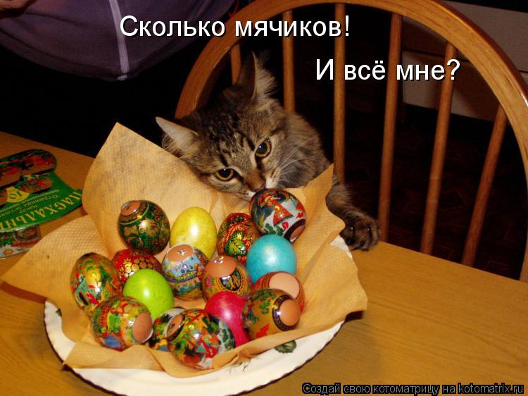 Котоматрица: Сколько мячиков! И всё мне?