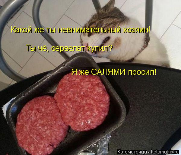 Ты чё, сервелат купил? Я же САЛЯМИ просил! Какой же ты невнимательный хозяин!... Котоматрица: Ты чё, сервелат купил? Я же САЛЯМИ просил! Какой же ты невнимательный хозяин!