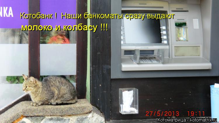 Котобанк ! Наши банкоматы сразу выдают молоко и колбасу !!!... Котоматрица: Котобанк ! Наши банкоматы сразу выдают молоко и колбасу !!!