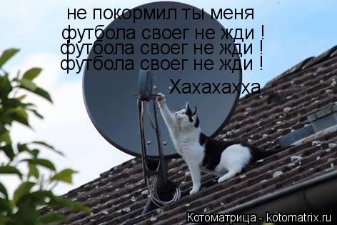 Котоматрица: не покормил ты меня  футбола своег не жди ! футбола своег не жди ! футбола своег не жди ! Хахахахха
