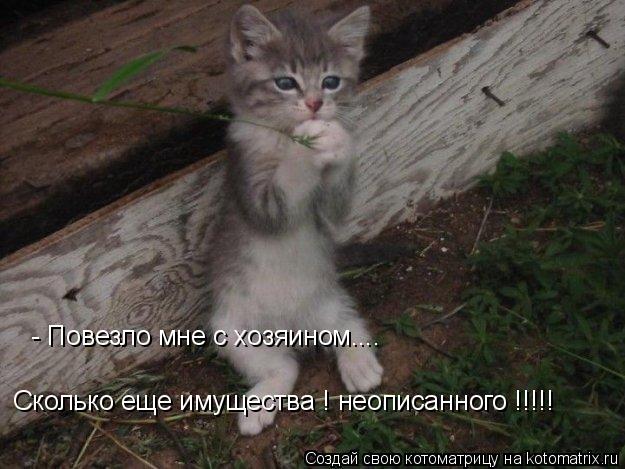 - Повезло мне с хозяином.... Сколько еще имущества ! неописанного !!!!!... Котоматрица: - Повезло мне с хозяином.... Сколько еще имущества ! неописанного !!!!!