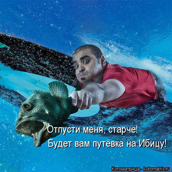 Отпусти меня, старче! Будет вам путёвка на Ибицу!... Котоматрица: Отпусти меня, старче! Будет вам путёвка на Ибицу!