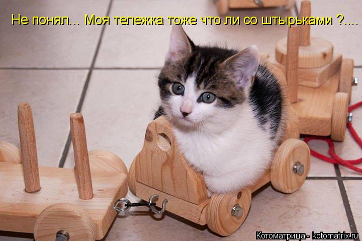 Котоматрица: Не понял... Моя тележка тоже что ли со штырьками ?....