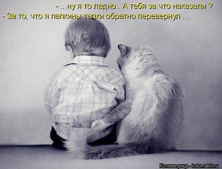 Котоматрица: - .. ну я то ладно.. А тебя за что наказали ? - За то, что я папкины тапки обратно перевернул ....