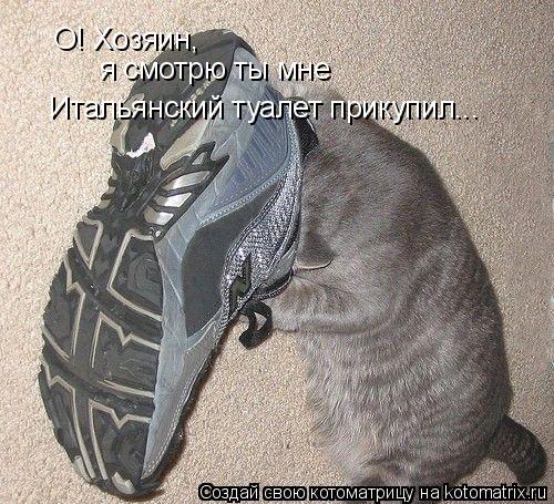 Котоматрица: О! Хозяин,  я смотрю ты мне  Итальянский туалет прикупил...
