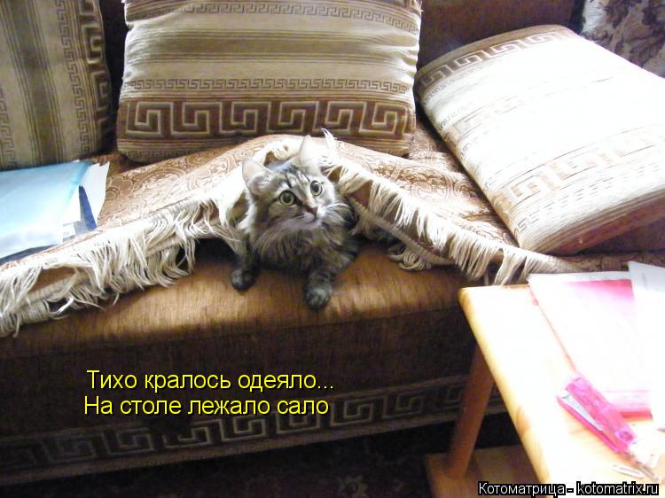 Тихо кралось одеяло... На столе лежало сало... Котоматрица: Тихо кралось одеяло... На столе лежало сало