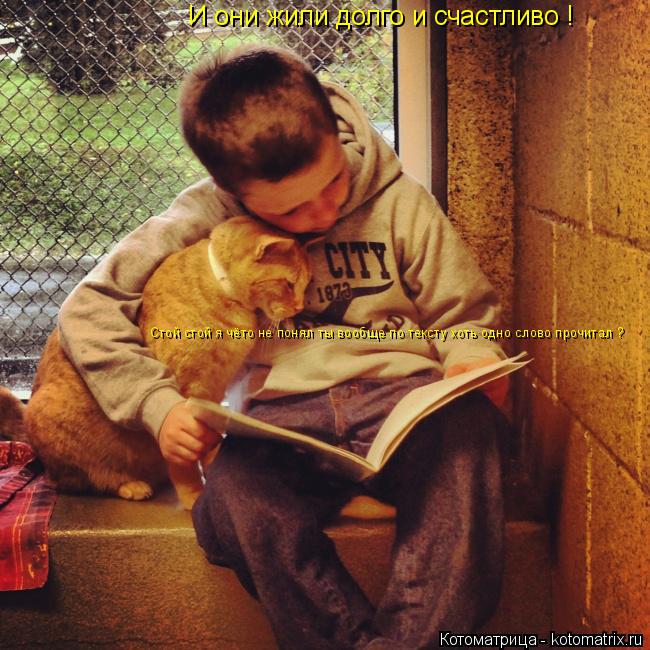 Котоматрица: И они жили долго и счастливо ! Стой стой я чёто не понял ты вообще по тексту хоть одно слово прочитал ?