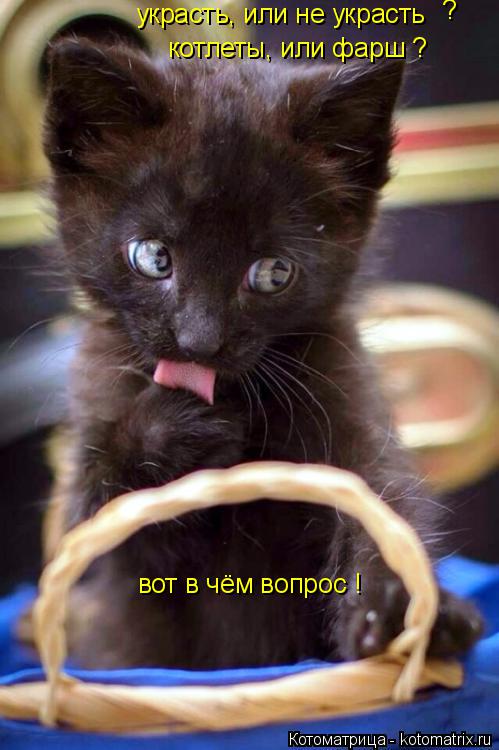 украсть, или не украсть ? котлеты, или фарш ? вот в чём вопрос !... Котоматрица: украсть, или не украсть ? котлеты, или фарш ? вот в чём вопрос !