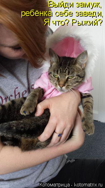 Выйди замуж, ребёнка себе заведи, Я что? Рыжий?... Котоматрица: Выйди замуж, ребёнка себе заведи, Я что? Рыжий?