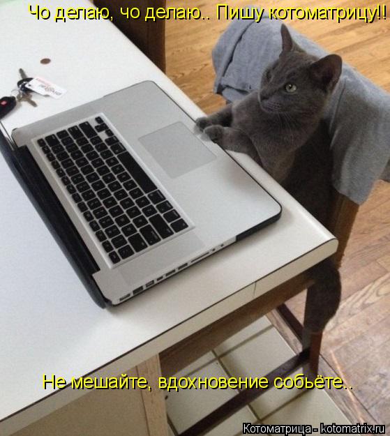 Котоматрица: Чо делаю, чо делаю.. Пишу котоматрицу!! Не мешайте, вдохновение собьёте..