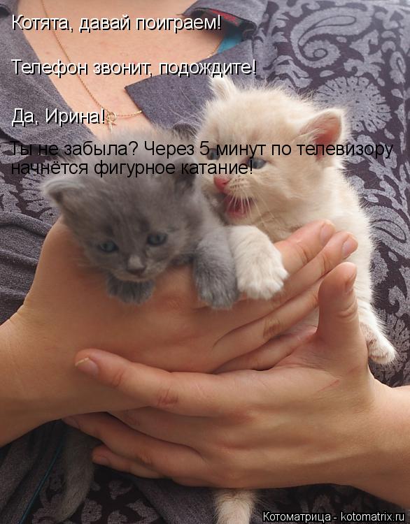 Котоматрица: Котята, давай поиграем! Телефон звонит, подождите! Да, Ирина! Ты не забыла? Через 5 минут по телевизору начнётся фигурное катание!
