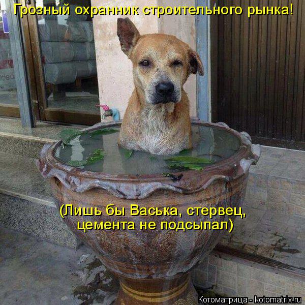 (Лишь бы Васька, стервец, цемента не подсыпал) (Лишь бы Васька, стервец, цемента не подсыпал) Грозны... Котоматрица: (Лишь бы Васька, стервец, цемента не подсыпал) (Лишь бы Васька, стервец, цемента не подсыпал) Грозный охранник строительного рынка!