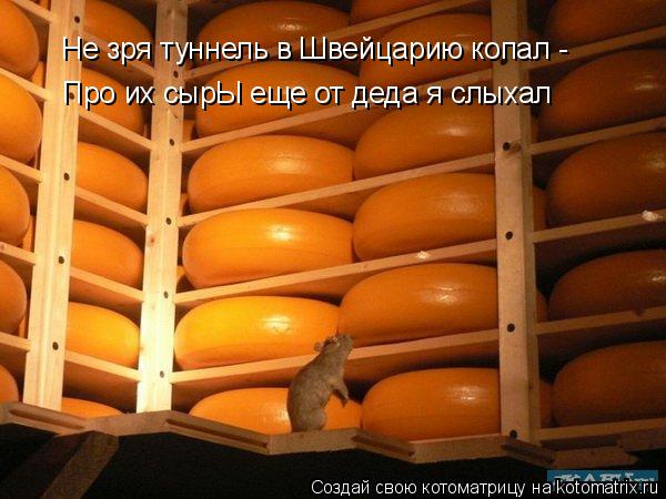 Котоматрица: Не зря туннель в Швейцарию копал - Про их сырЫ еще от деда я слыхал