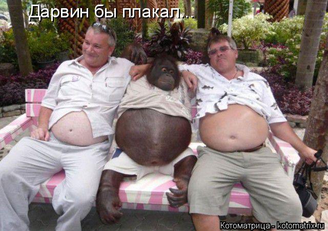 Котоматрица: Дарвин бы плакал...