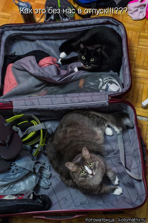 Котоматрица: Как это без нас в отпуск!!!???