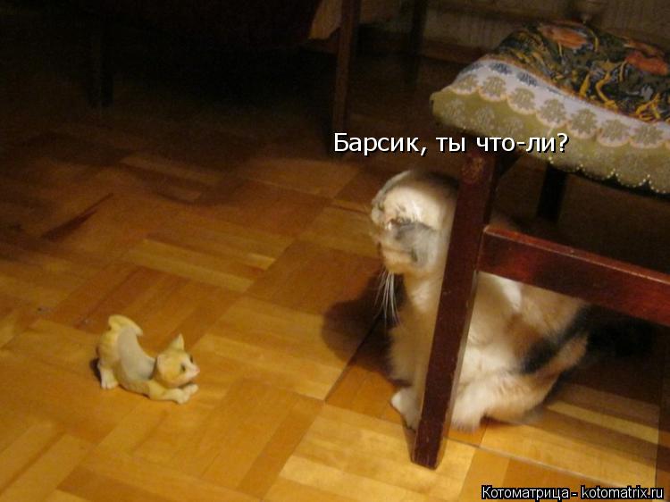 Котоматрица: Барсик, ты что-ли?