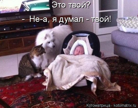 Котоматрица: - Это твой? -  Не-а, я думал - твой!