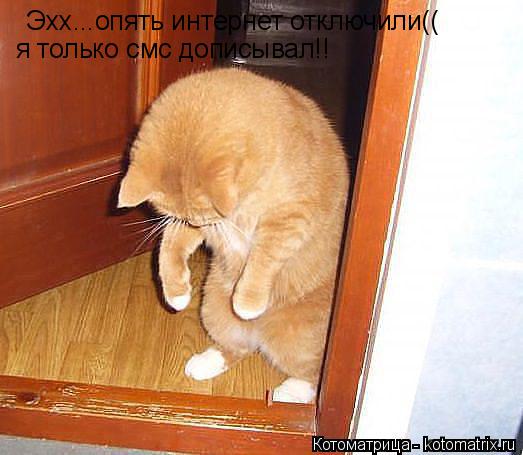 Котоматрица: Эхх...опять интернет отключили(( я только смс дописывал!!