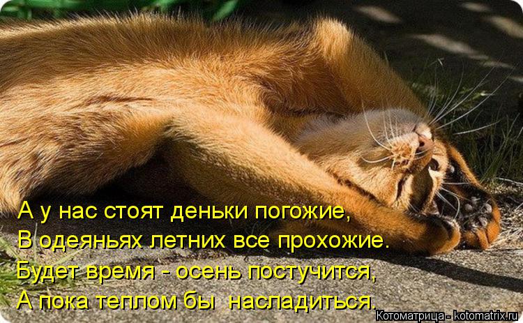 А у нас стоят деньки погожие, В одеяньях летних все прохожие. Будет время - осень постучится, А пока ... Котоматрица: А у нас стоят деньки погожие, В одеяньях летних все прохожие. Будет время - осень постучится, А пока теплом бы насладиться.