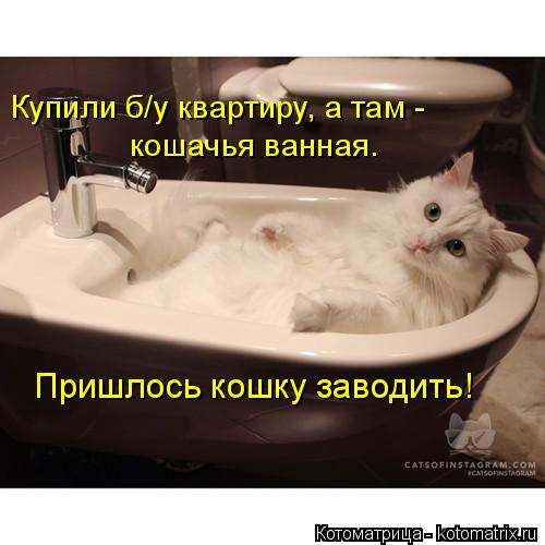 Котоматрица: Купили б/у квартиру, а там -  кошачья ванная. Пришлось кошку заводить!