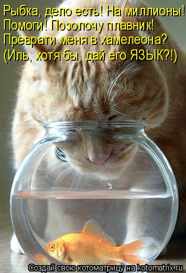 Котоматрица: Рыбка, дело есть! На миллионы! Помоги! Позолочу плавник! Преврати меня в хамелеона? (Иль, хотя бы, дай его ЯЗЫК?!)