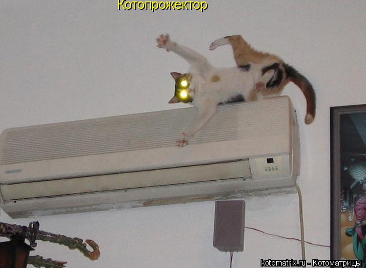 Котопрожектор... Котоматрица: Котопрожектор