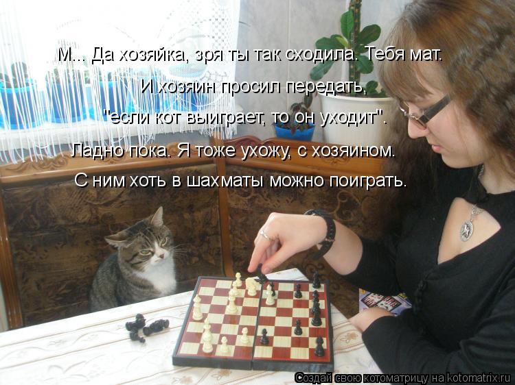 Котоматрица: М... Да хозяйка, зря ты так сходила. Тебя мат.  И хозяин просил передать, "если кот выиграет, то он уходит". Ладно пока. Я тоже ухожу, с хозяином.  