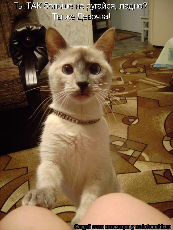 Котоматрица: Ты ТАК больше не ругайся, ладно? Ты же Девочка!